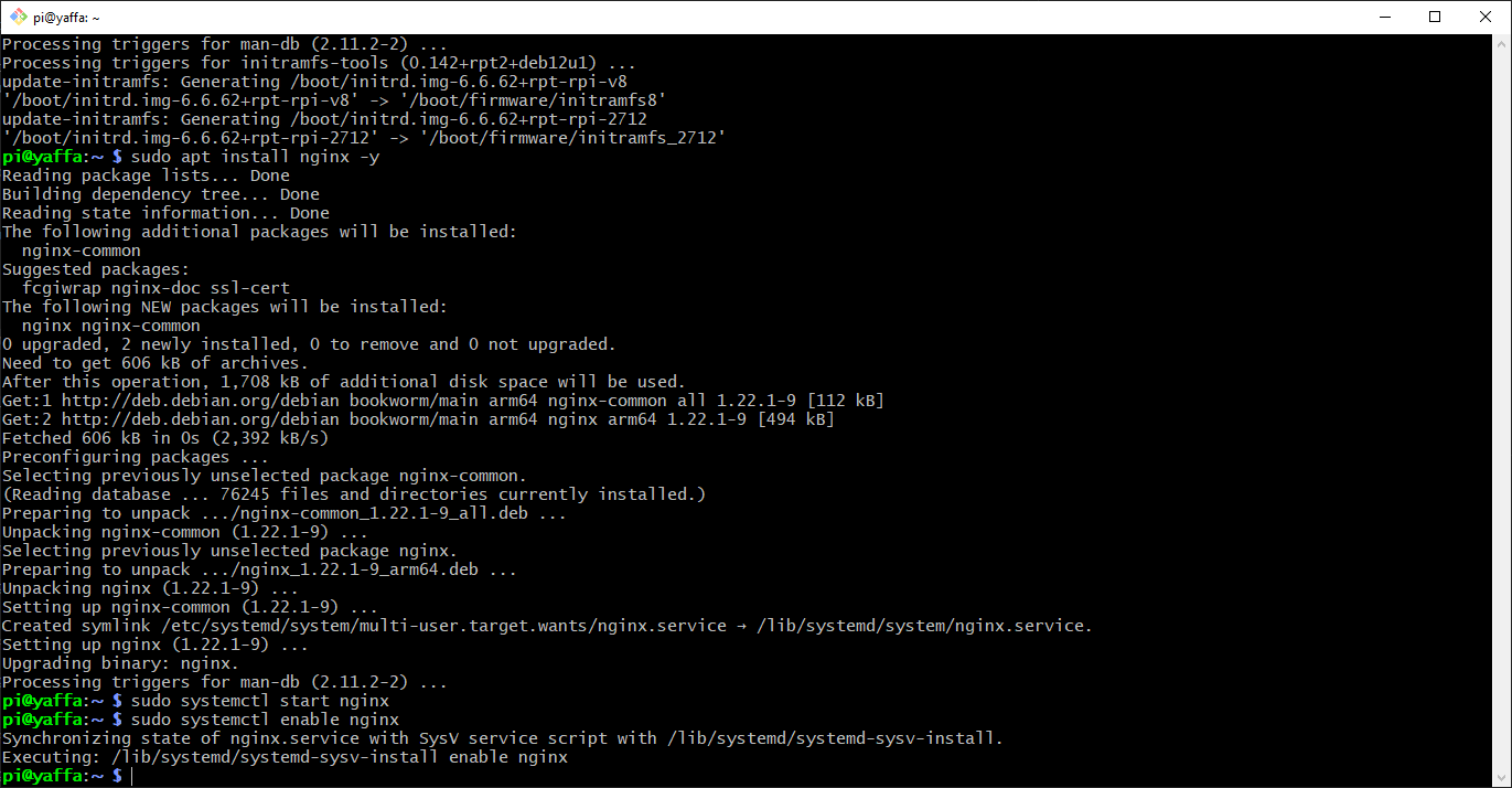 Screenshot of Nginx installed and started